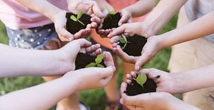  «Экологическое воспитание в ДОО: как реализовать цели  устойчивого развития в игровых формах»